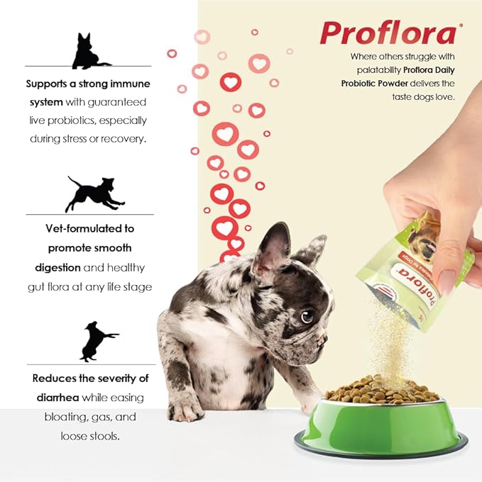 Daily Probiotics and Prebiotics for Dogs, Supports Digestive Health and Immune System, 30 Powder Sachets, 1.06 oz (1-Pack)