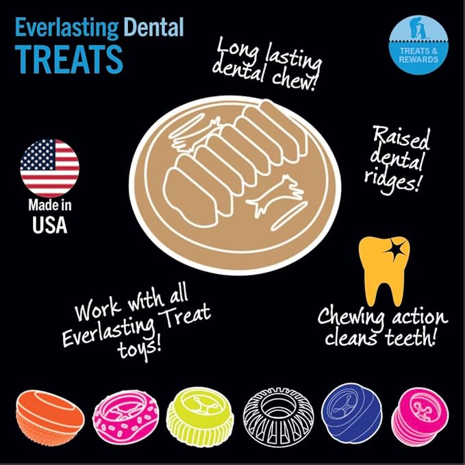 Starmark Everlasting Treats Dental Chews Large, 2 Count (Pack of 1), Chicken Flavored