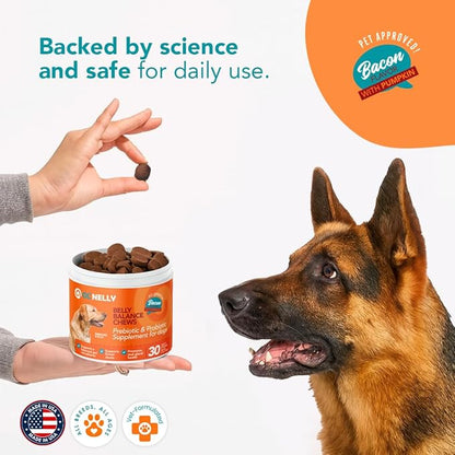 Dog Probiotic Chews – Pre & Probiotics for Dogs with Pumpkin-Digestive & Gut Health Support, Helps with Diarrhea, Gas & Constipation, Bacon Flavor, 30 Soft Chews – Ol'Nelly