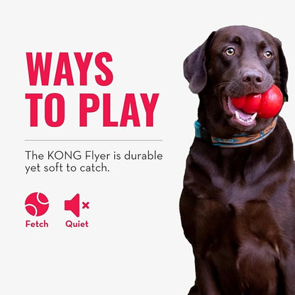 KONG Flyer - Durable Dog Toy for Outdoor Playtime - Natural Rubber Flying Disc, Dog Toy for Fetch - Safer Disc for Healthy Activity - for Small Dogs