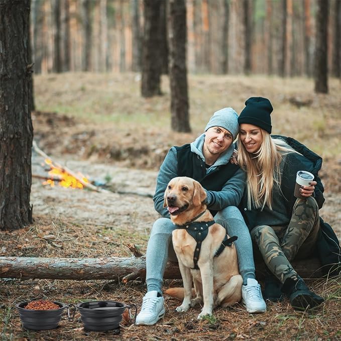 Limpet Collapsible Bowls,Set of 2 Travel Water Bowls for Pets, Portable Pet Feeding Watering Dish for Walking Parking Traveling with 2 Carabiners. (Blue+Black, Small)
