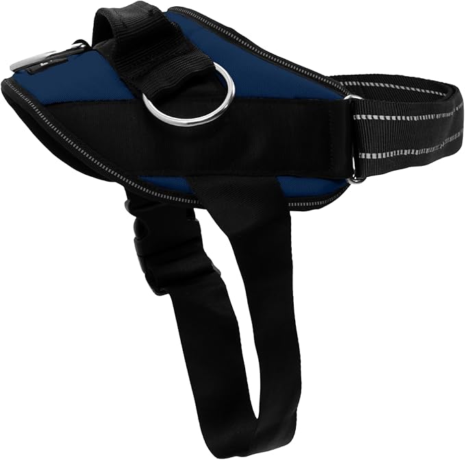 ShawnCo Essential Dog Harness, No-Pull Pet Vest with 3 Leash Clips, No Choke, Reflective, Adjustable and Padded, for Easy Walking and Training for Small, Medium and Large Dogs (Pacific Blue, S)