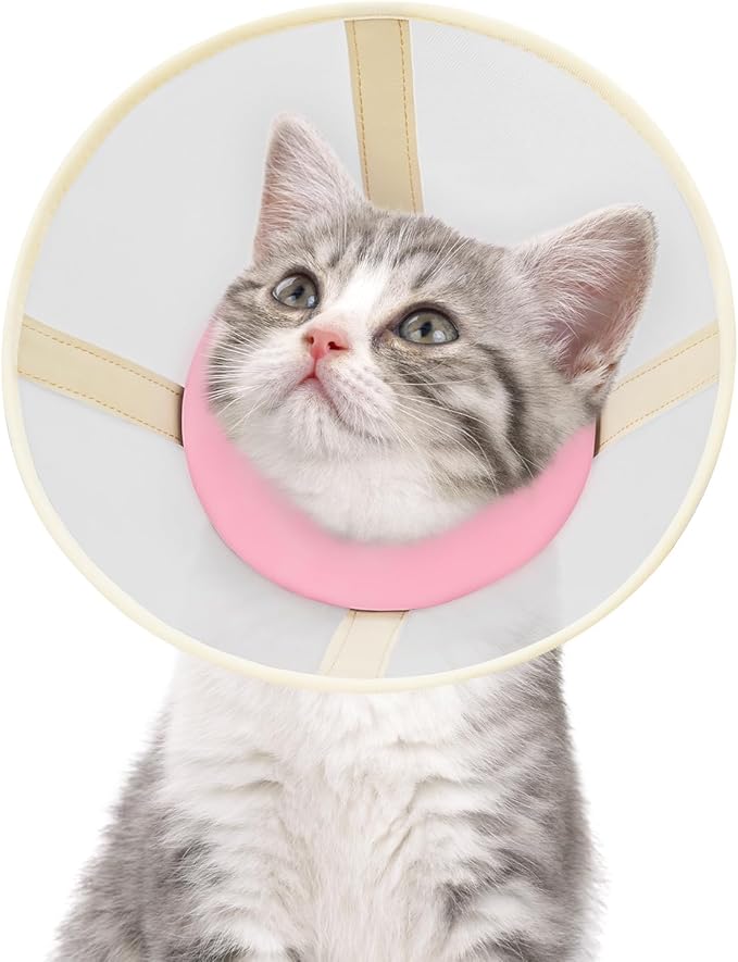 Cat Cone Collar Soft- Adjustable Comfortable Air Mesh Recovery Cone After Surgery to Stop Licking and Scratch, Alternative to Plastic Elizabethan Collar for Cat, Whiskers Freedom (Pink, S)