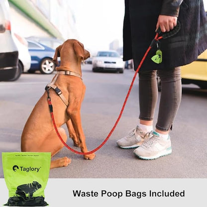 Taglory Rope Dog Leash 6 FT with Comfortable Padded Handle, Highly Reflective Threads Leash and Anti-Tangle Clip for Walking Small Dogs, 3/8 inch, Red