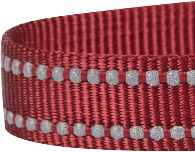 Blueberry Pet Essentials Durable 3M Reflective Classic Dog Leash 4 ft x 1", Marsala Red, Large, Leashes for Dogs