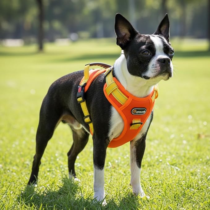 Tactical Dog Harness for Large Medium Dogs No Pull Adjustable Pet Vest with Reflective Straps Front & Back Clips Handle for Hiking Walking Hunting– 4 Sizes with or Without Leash (Orange, S)
