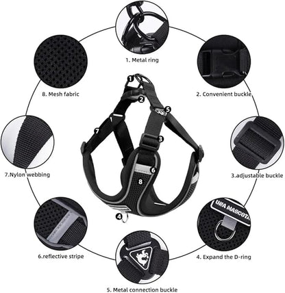 Dog Harness and Leash Set, Adjustable Triangle, Reflective Adjustable Puppy Vest, No Pull Soft Mesh Harness for Small, Medium Dogs, Cats (Black, M)