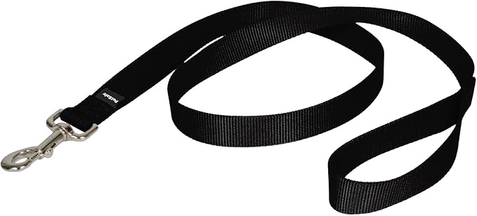 PetSafe Nylon Leash - Helps Maintain Secure Connection on Walks - Durable Pet Leash with Easy Clip - 1 in. x 4 ft. - Black