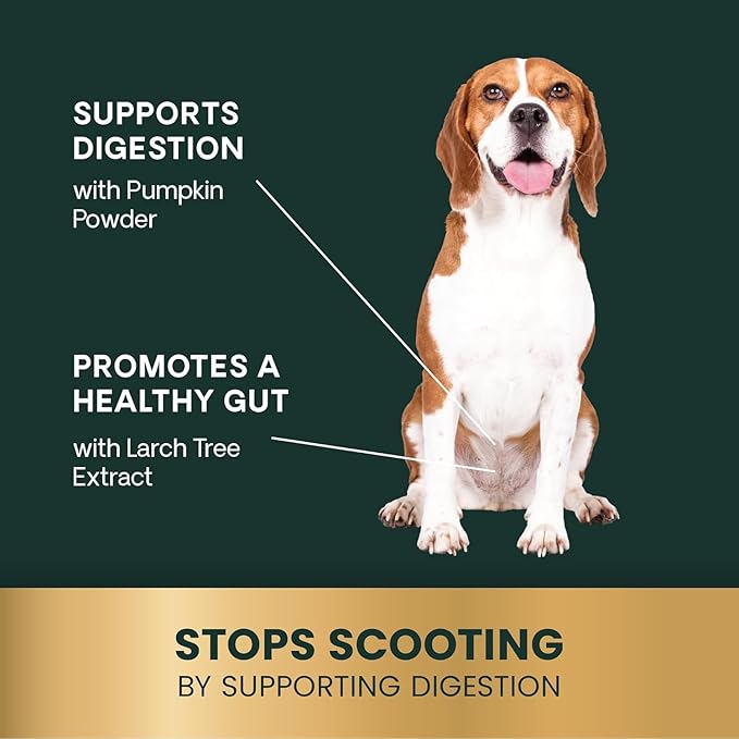 VetriScience Scoot Control Chews, Express Ease Fiber Supplement for Dogs, Pumpkin and Tree Larch Extract, Anal Gland Support, Firm Up Stools, Manage Diarrhea, Delicious Fiber Chews, Duck, 40 Count