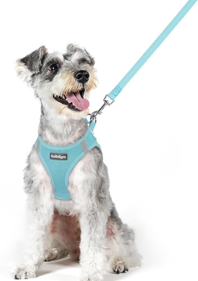 rabbitgoo Dog Harness Small Medium Sized and Leash Set, Step in Soft Light Puppy Vest, Breathable Mesh Pet Harness, Reflective for Safe Easy Walking, Mint Blue XL