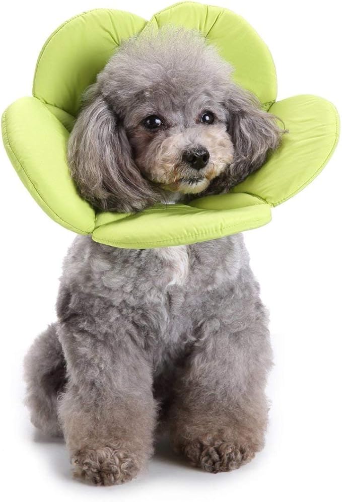 Dogs Cats Medical Grooming Pet E-Collar Recovery Remedy Protective Dog Lick Caught Soft Sponge Adjustable Postoperative Kit for Small and Medium Dog