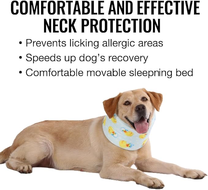 LovinPet Dog Recovery Collar, Adjustable Soft Cone for Medium & Large Dogs, Post-Surgery Comfort & Lick Prevention, Ducks with Hats Print,Blue