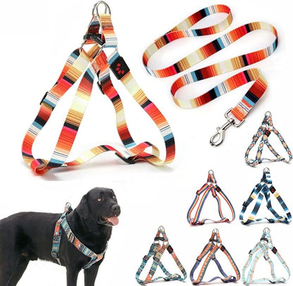 Dog Harness and Leash Set, Pretty Pattern No-Pull Pet Halter Puppy Vest Outdoor Easy Walk for Small Medium Large Breed Pug Bully Mastiff Dogs Female Male, Orange XL