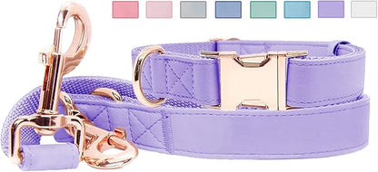 Soft Leather Dog Collar and Leash (6.6') Set - Stylish Rose Gold Heavy Duty Metal Buckle, 4 Adjustable Lengths Leash for Small Medium Large Dogs - Comfortable & Easy to Clean (S, Light Purple)