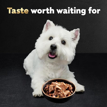 Cesar Loaf in Sauce Wet Dog Food Rotisserie Chicken,Filet Mignon,Angus Beef,and Ham & Egg Flavors Variety Pack,Wet Food for Dogs,3.5 oz Easy Peel Trays,24 Count (Pack of 2)