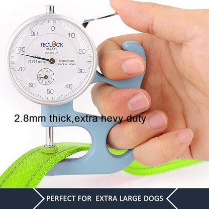 Plutus Pet Double Handle Dog Leash 5ft, Heavy Duty, Reflective Dual Handle Dog Leash for Safety Training, for Medium Large Dogs,2 Handle Leads(Green)