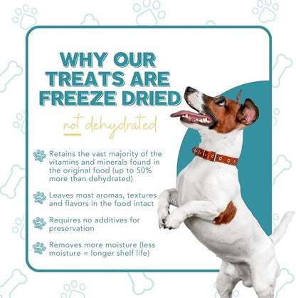 Freeze Dried Dog Treats – Bison Liver, Single Ingredient, All-Natural, USA Sourced, Human-Grade, Grain-Free High-Protein Training Treats, 2.5 oz