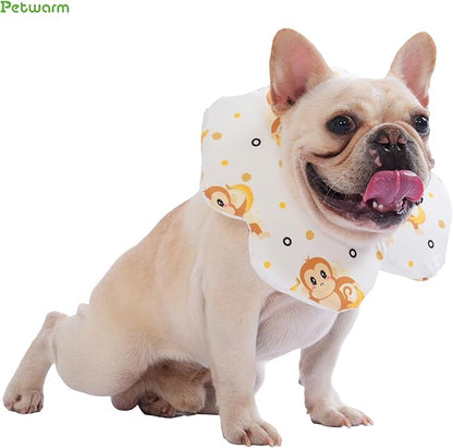 PetWarm Dog Recovery Collar, Recovery Collar for Dogs, Lightweight Soft Flower Design, Comfortable Neck Protector Helps Discourage Licking, Post-Visit Protective Collars, Monkey Print, Yellow, L
