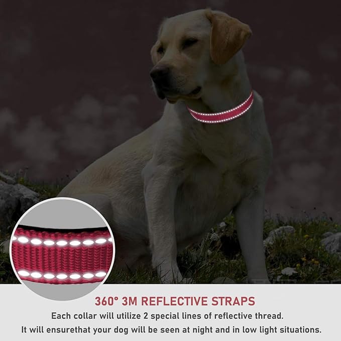 Reflective Dog Collar with Buckle Adjustable Safety Nylon Collars for Small Medium Large Dogs, Light Pink XL