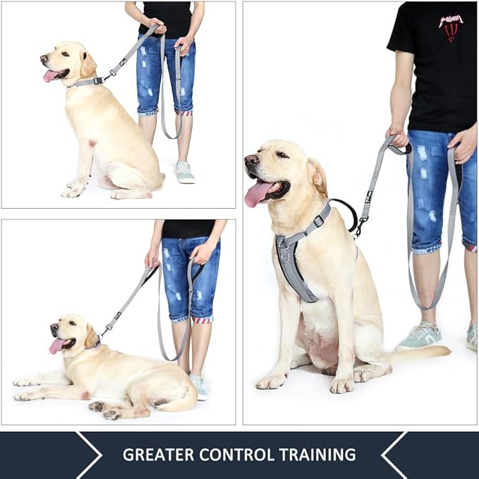 Plutus Pet Double Handle Dog Leash 4ft, Heavy Duty, Reflective Dual Handle Dog Leash for Safety Training, for Medium Large Dogs,2 Handle Leads(Gray)