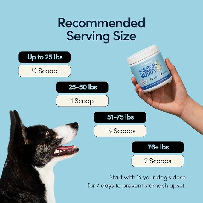 Scratch Buddy Dog Allergy Relief Powder with Colostrum, Spirulina & Turkey Tail Mushroom - Natural Itch Relief for Dogs - Anti Itch Supplement for Seasonal Allergies, Skin Health & Paw Licking - Bacon
