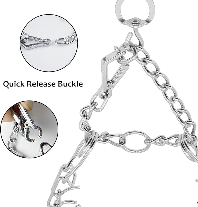 Prong Pinch Collar for Dogs with Quick Release Buckle, Adjustable Training Collar for Small Medium Large Dogs, Helps Prevent Dog from Pulling (3.0mm, Neck Size 19"-21"), Silver