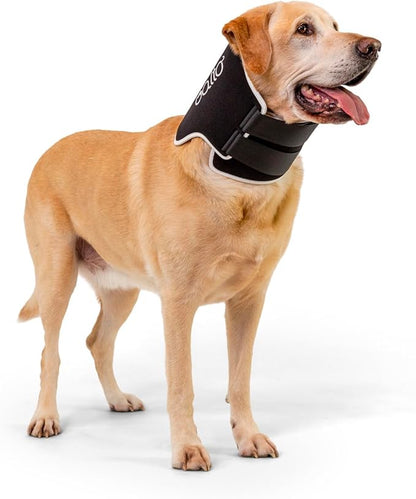 Balto Neck Eco Soft Recovery Collar for Dogs – E-Collar Alternative for Post-Surgery, Allergy Relief & Wound Protection – Adjustable, Breathable, Washable Cone – Vet-Approved (Small)