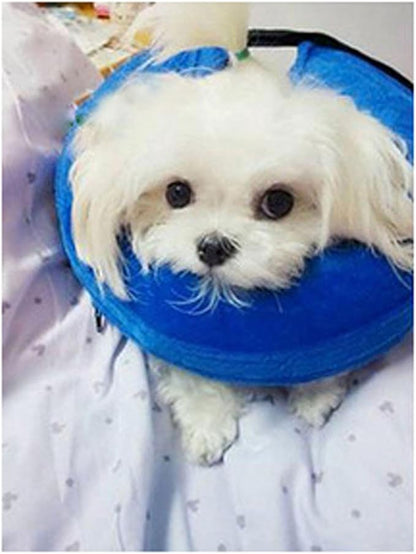 Inflatable Dog Neck Collar PVC Soft Warm Comfortable Protective Recovery Cone for Post Surgery Skin Itching Pets (Blue)
