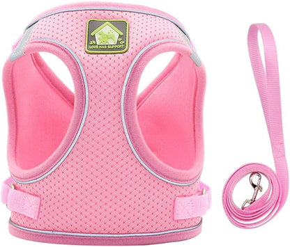 FEimaX Dog Harness and Leash Set, No Pull Breathable Soft Mesh Puppy Vest Harness Reflective Adjustable Pet Harnesses for Small Medium Dogs and Cats - Outdoor Easy Control for Walking