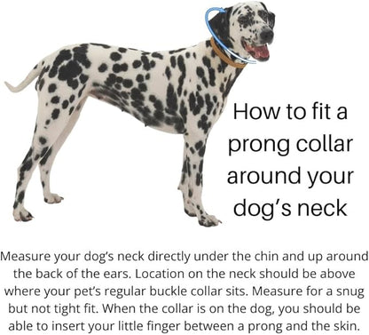 Clasp 1.5mm Stainless Steel Dog Training Collar for Small Dogs | 8" Micro Prong for Dogs 6-26lbs | No Pull Collar | Dog/Puppy Training & Behavior Aid