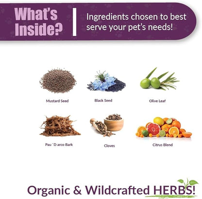 Amber NaturalZ Vibactra Immune Support Herbal Supplement for Dogs, Cats, Birds, Guinea Pigs, and Rabbits | Pet Herbal Blend for Overall Health | 1 Fluid Ounce Glass Bottle | Manufactured in The USA