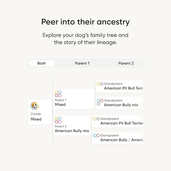Embark Breed Identification Kit - Most Accurate Dog DNA Testing Kit - 99% Breed Ancestry Accuracy for Mixed Breed Dogs - Plus Relative Finder & Family Tree