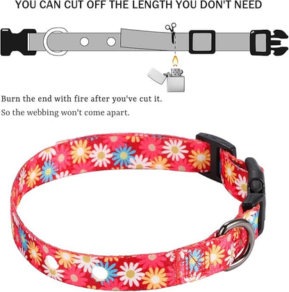 Rhea Rose 3/4 Inch Replacement Collar Strap Shock Collar with 2 Holes, Compatible with Nearly All Brands and Models of Underground Electric Dog Fences and Training Collars, Red Daisy