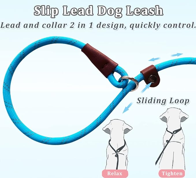 WYUZE 2-Pack 8ft Slip Lead Dog Leash, Reflective No Pull Dog Training Lead, 1/3" Nylon Rope Easy On/Off Slip Control Leash for Small Medium Dogs (Black+Blue)
