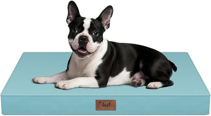 Outdoor Orthopedic Dog Bed for Medium Dogs & Cats, Waterproof Flat Pet Mat with Egg Crate Foam & Washable Removable Oxford Cover, 30x20 Inch, Light Blue