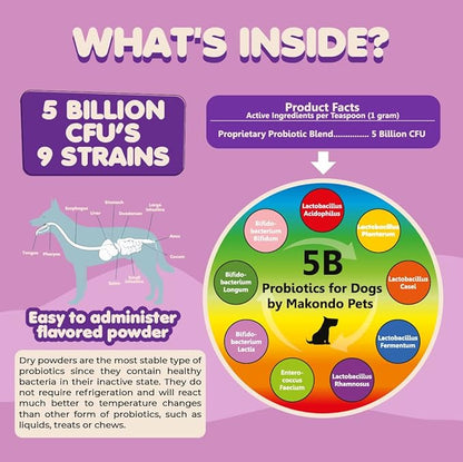 Probiotics for Dogs & Puppies–Extra Strength 9 Species, 5 Billion CFU per Scoop of Powder Digestive Enzymes for Dogs. Gut Fiber & Allergy Relief
