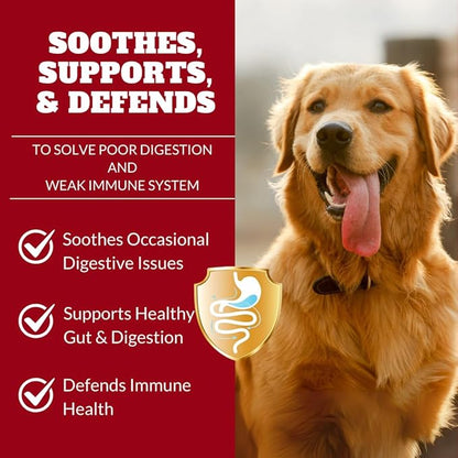 Probiotics for Dogs&Cats, Probiotic for Sensitive Stomach, Itchy Skin, Allergies, Immunity, Yeast Balance, Oral Problems-Dog Probiotic and Digestive Enzymes with Prebiotics-Reduce Diarrhea, Gas-120 Ct