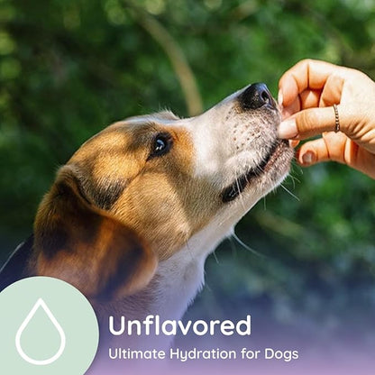 Dog Electrolytes and Joint Supplement | Hydration Support for Dogs w/Glucosamine, Chondroitin & More | Electrolytes for Dogs with Prebiotics | Unflavored | 32 Packets