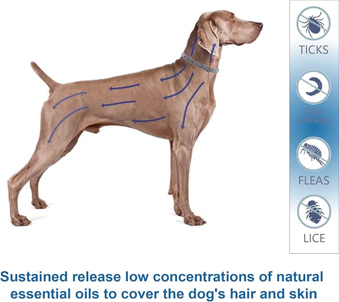 Flea and Tick Collar for Large Dogs, 2‑Pack | 8‑Month Waterproof Protection with Natural Essential Oils | Includes Comb & Tick Removal Tool