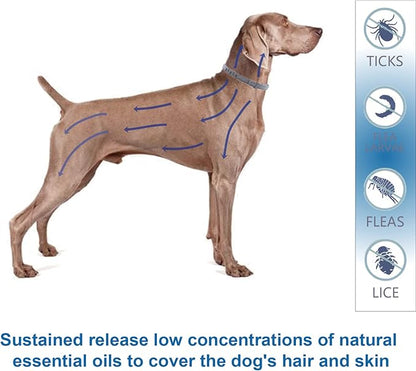 Flea and Tick Collar for Large Dogs, 2‑Pack | 8‑Month Waterproof Protection with Natural Essential Oils | Includes Comb & Tick Removal Tool