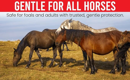 Ivermectin Paste 1.87% Only Use for Horses – Apple Flavor Oral Paste – 6.08g Syringe - Gel Dewormer for Horse - Safe for Equine of All Ages (1 - Pack)
