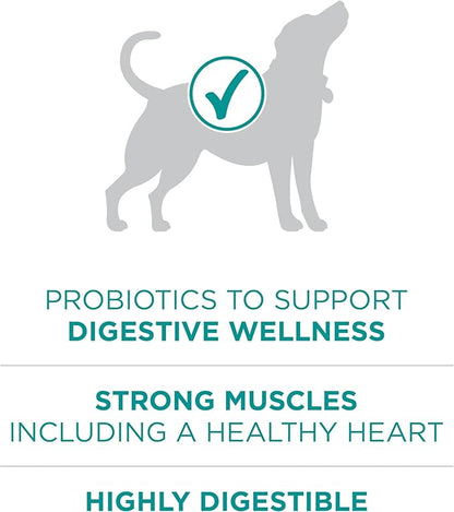 Purina One Plus Digestive Health Formula Dry Dog Food Natural with Added Vitamins, Minerals and Nutrients - 16.5 Lb. Bag
