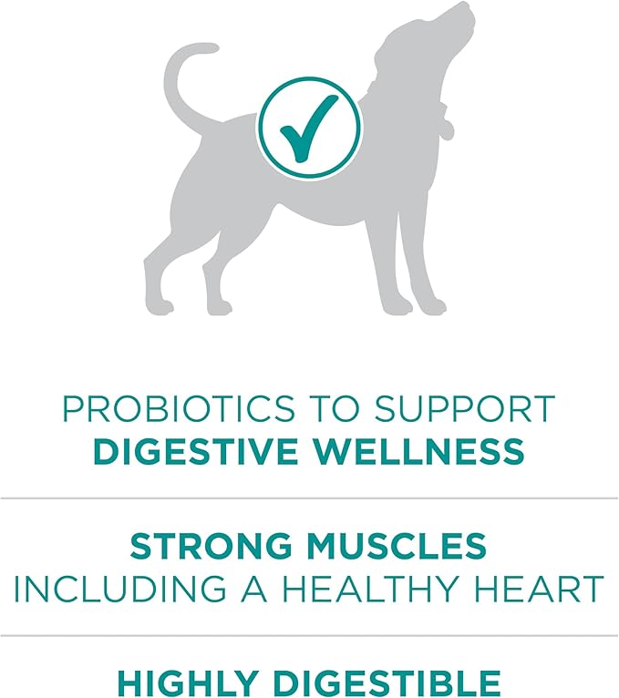 Purina One Plus Digestive Health Formula Dry Dog Food Natural with Added Vitamins, Minerals and Nutrients - (Pack of 4) 8 lb. Bags