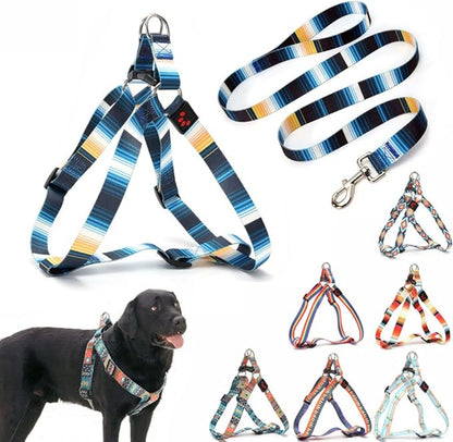 Dog Harness and Leash Set, Pretty Pattern No-Pull Pet Halter Puppy Vest Outdoor Easy Walk for Small Medium Large Breed Pug Bully Mastiff Dogs Female Male, Blue XL