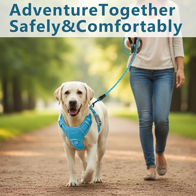 BARKBAY Dog Harness No Pull with ID Tag Pocket - Heavy Duty, Reflective, Easy Control for Large Dogs(Ocean Blue,M)