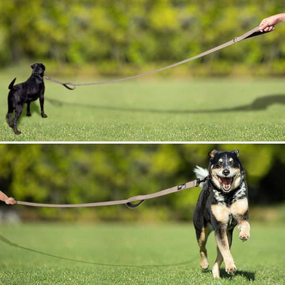 Plutus Pet Double Handle Dog Leash 5ft, Heavy Duty, Reflective Dual Handle Dog Leash for Safety Training, for Medium Large Dogs,2 Handle Leads(Beige)