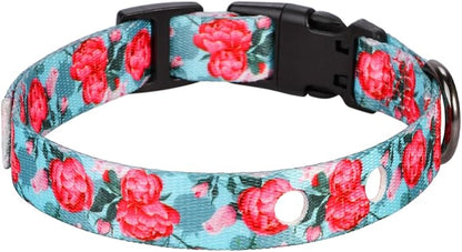 Rhea Rose 1 Inch Replacement Collar Strap Shock Collar with 2 Holes, Compatible with Nearly All Brands and Models of Underground Electric Dog Fences and Training Collars, Rose