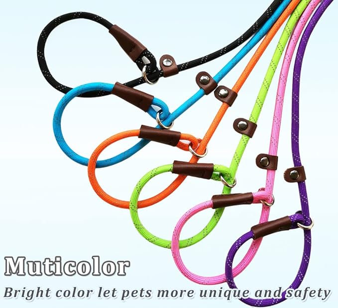 WYUZE 2 Pack 8 ft Slip Lead Dog Leash, Reflective No Pull Dog Training Lead, 1/3" Nylon Rope Slip Leash for Small Medium Dogs (Purple+Green)