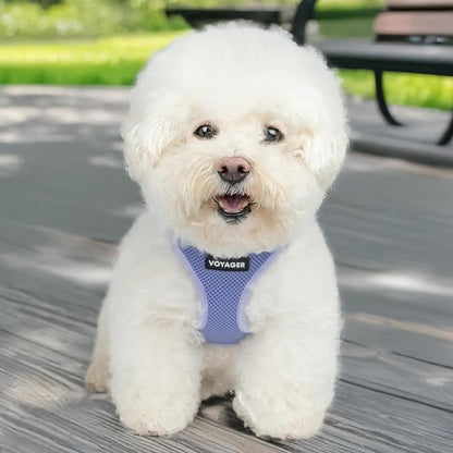 Best Pet Supplies Voyager Step-in Air Harness - All Weather Mesh, Reflective, No Pull Harness for Dogs, Cats - Secure with Hook & Loop Fastener, Buckle, Double D-Rings - Lavender, S
