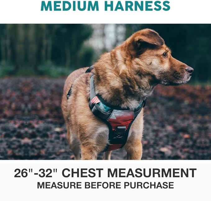 Embark Adventure Medium Dog Harness – No-Pull, Reflective Trim, Military-Grade Nylon, Front Clip with Gel-Lined Handle